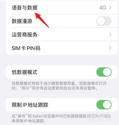 iphone13怎么把5g改成4g