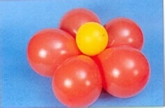 魔法气球造型教程系列之：[19]气球花