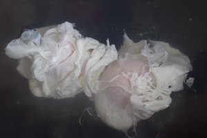 烟熏三文鱼培根本尼迪克蛋，附水波蛋荷兰酱做法