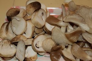 鸡汁菌菇泡饭的做法