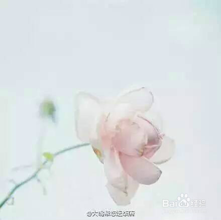 职场成熟的真理