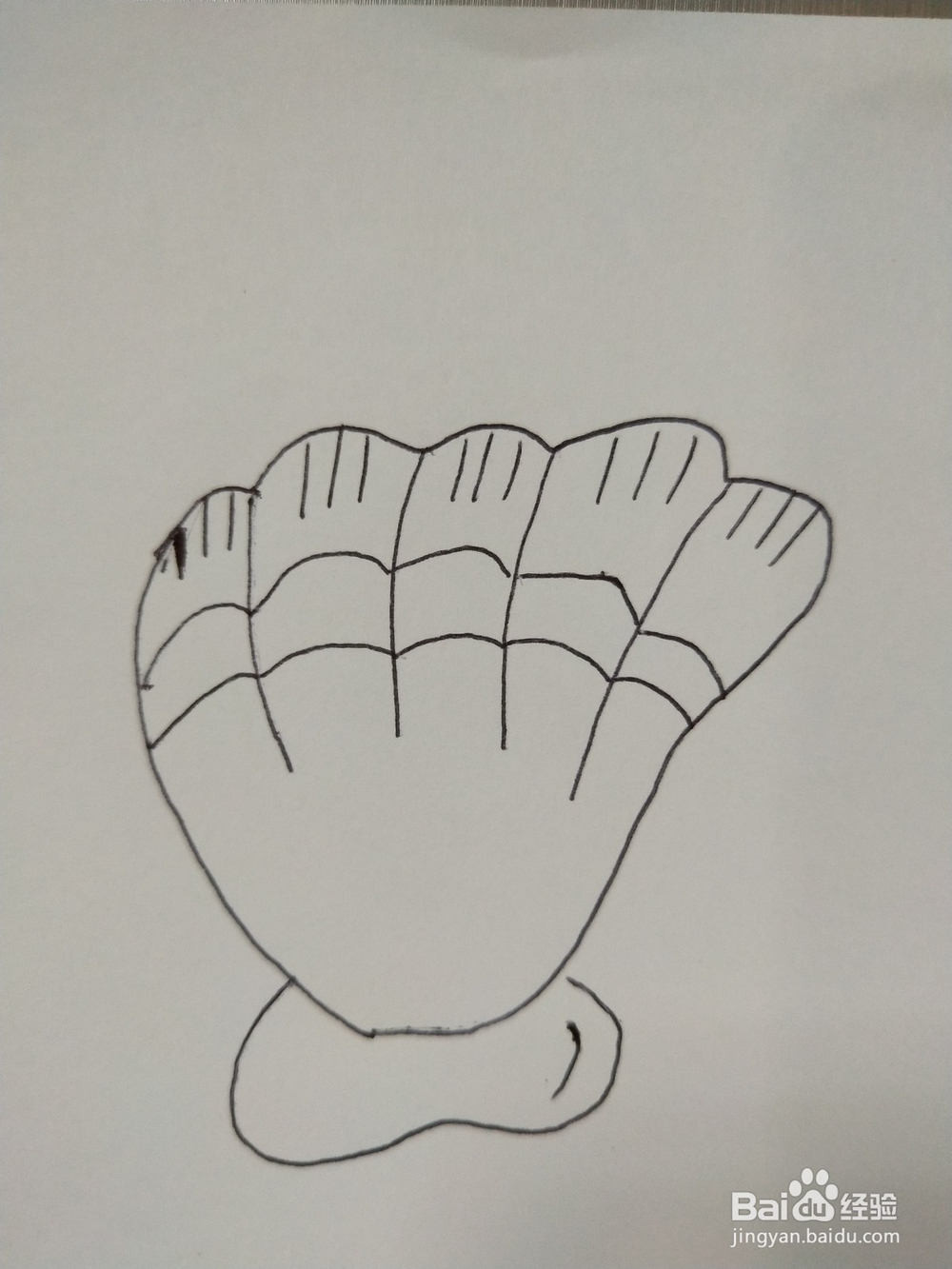 怎么画一个贝壳