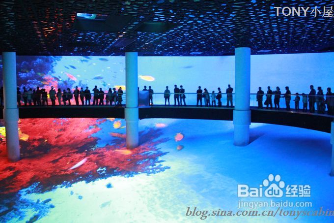 五一长假可以去看看世博园曾经最热门的沙特馆