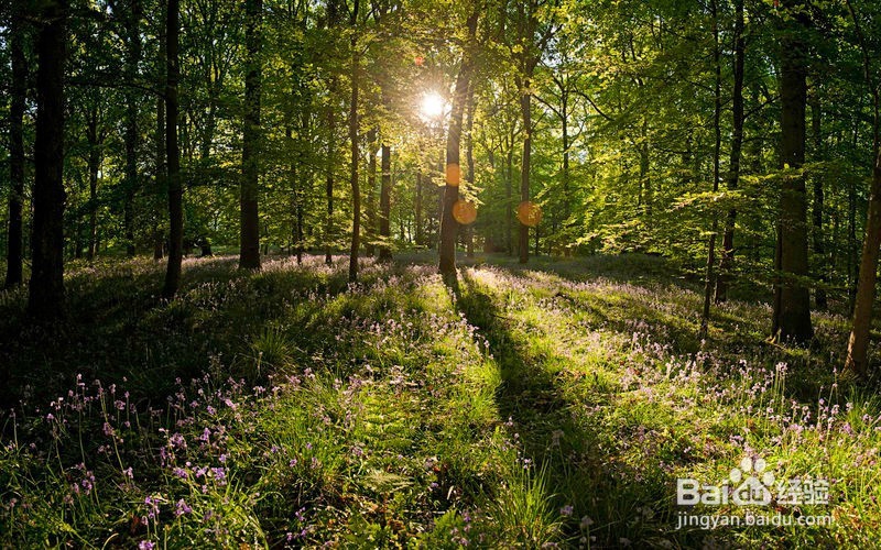 工作生活压力大怎样排解