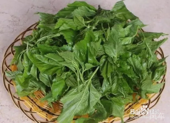 几元钱就能治好脱发，还不进来看看
