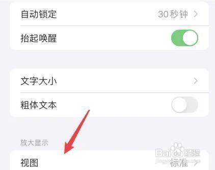 iPhone11手机设置应用图标大小教程