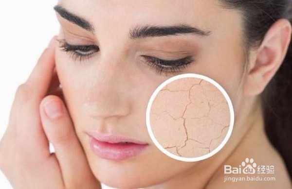 富含花青素的食物，花青素具体有什么功效？