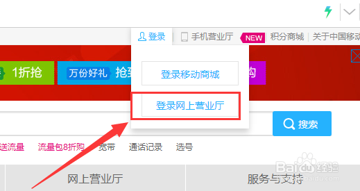 怎么详细查询手机话费账单与通话详单