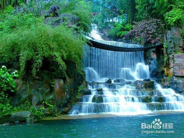 重庆到张家界旅游线路