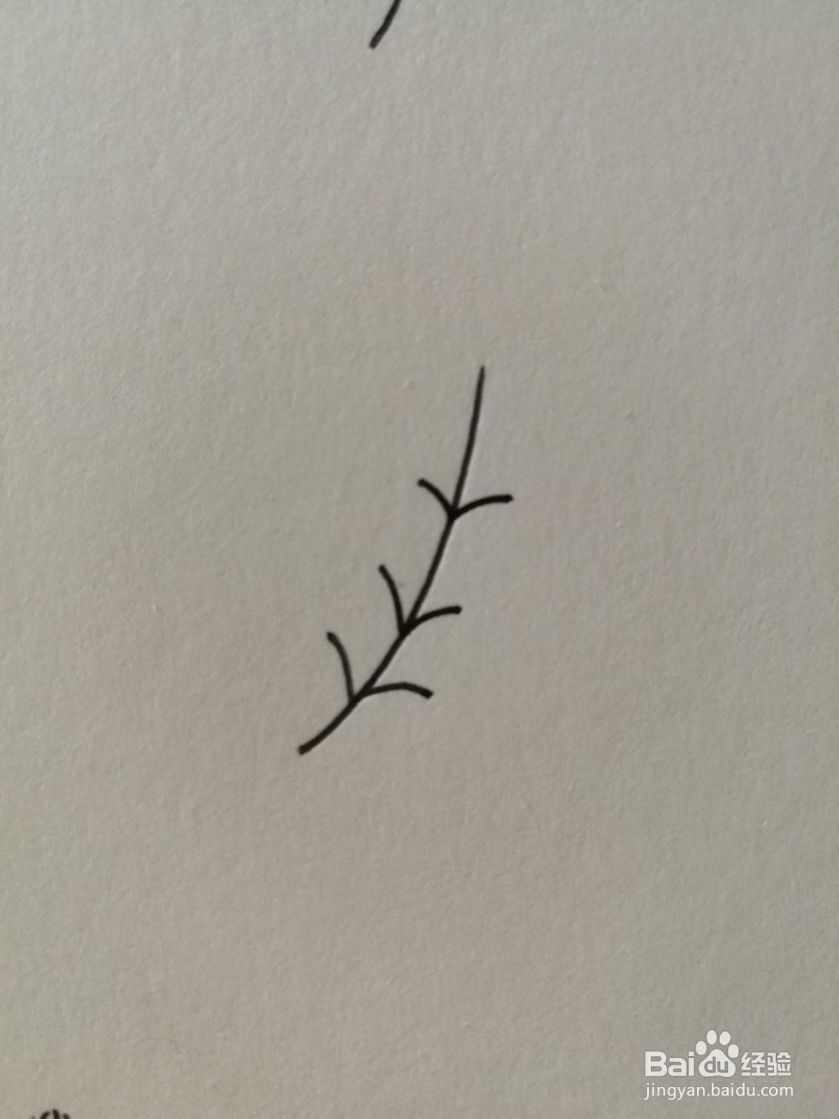 小草简笔画之画法十四