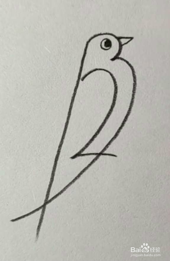 #我来了#简笔画小鸟怎么画？