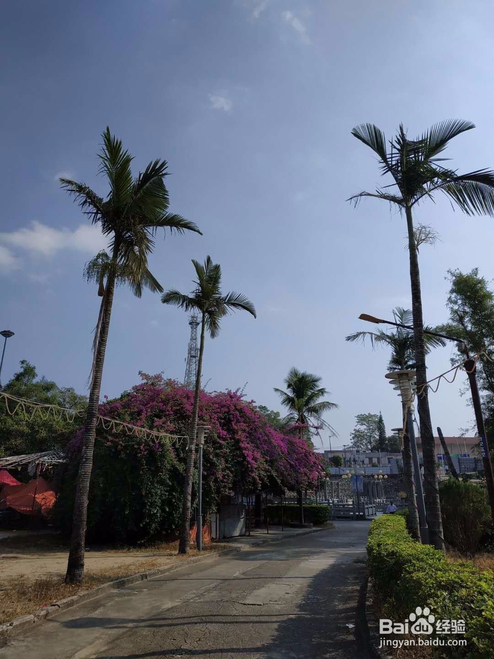 如何拍出好的相片？