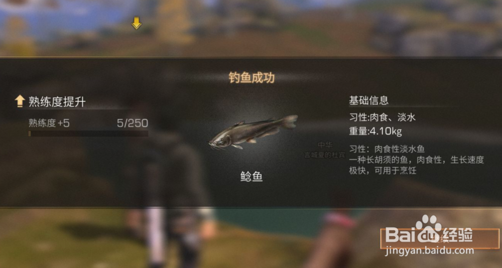 明日之后在哪钓鱼 怎么进行钓鱼