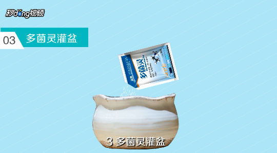 多肉黑腐的原因及如何防治黑腐病