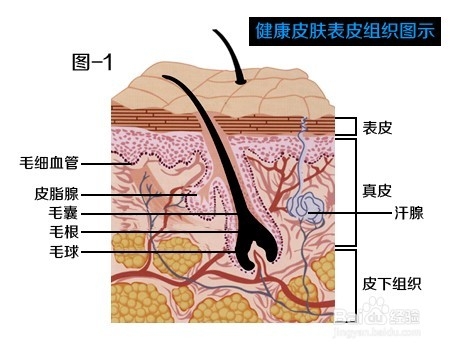 <b>如何挑选补水面膜，用什么补水面膜最好</b>