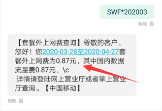 中国移动如何短信查询套餐外上网费