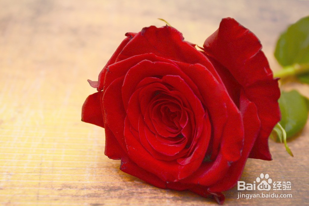 怎么给恋人送花？