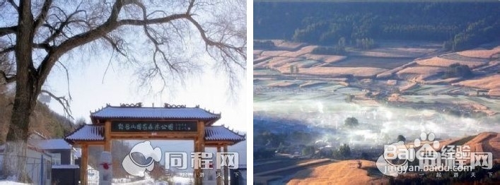 去鸡冠山国家森林公园的N大理由,让你不得不去
