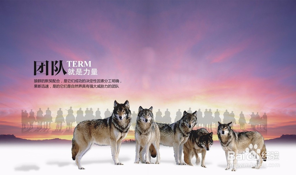 如何培养团队精神