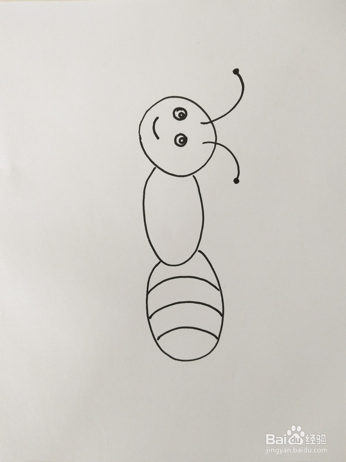 简笔儿童画-小蚂蚁