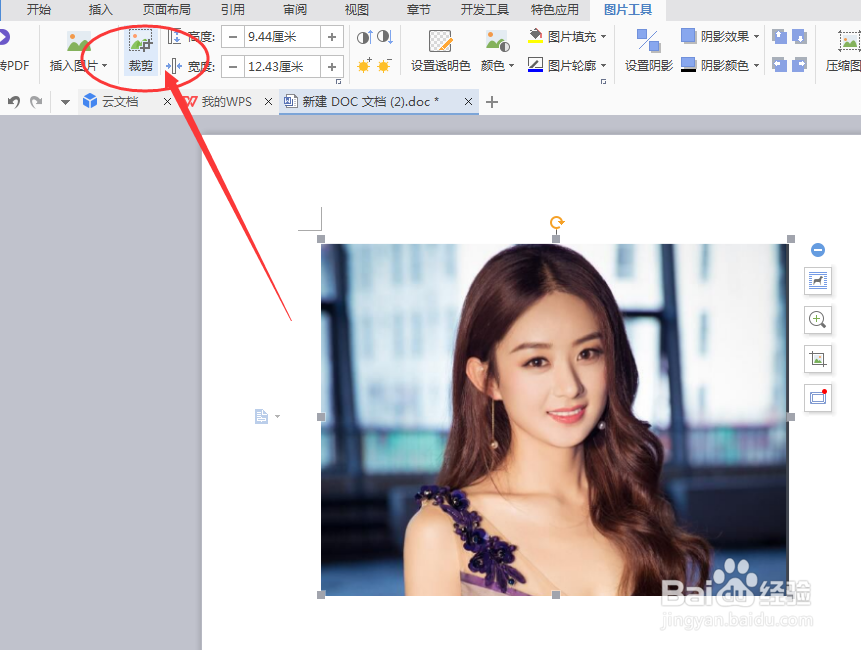 怎么在word上裁剪图片