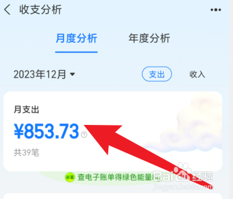 支付宝怎么看每个月的总支出