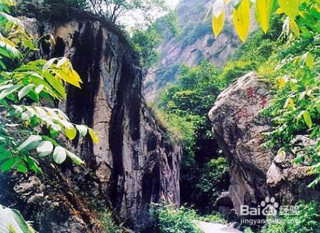 翠华山旅游攻略