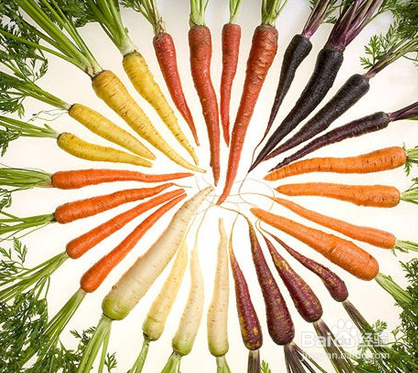 胡萝卜有哪些功效和作用?