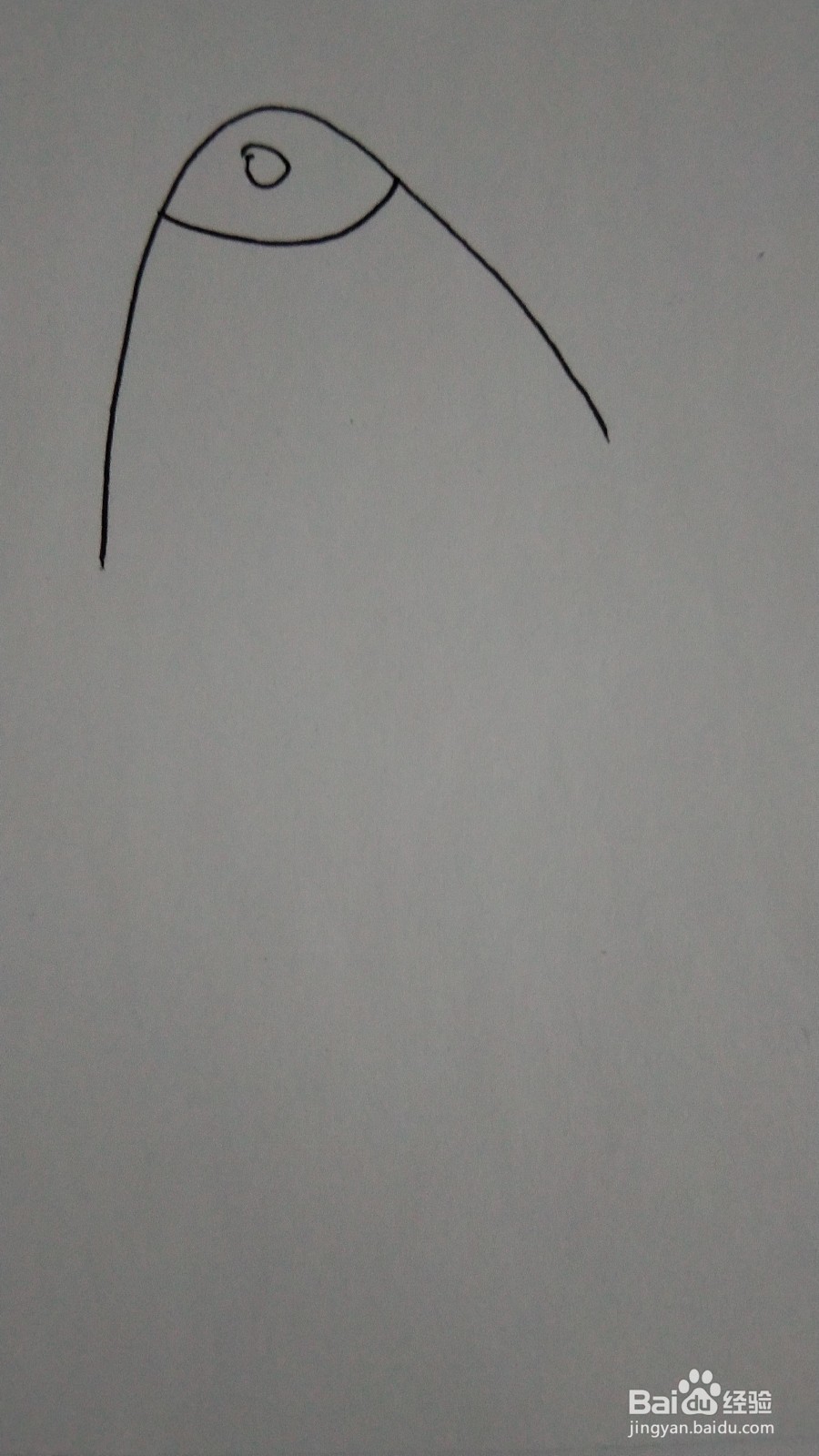 风筝的简笔画怎么画
