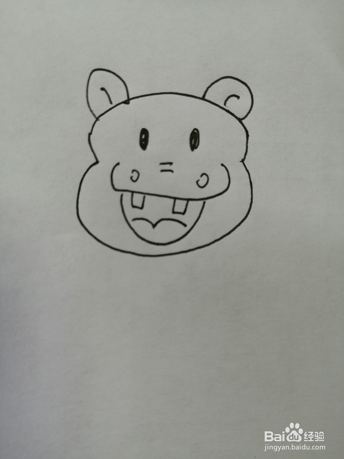 可爱的小河马怎么画