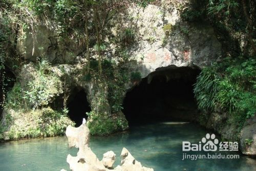 浙江灵栖洞攻略