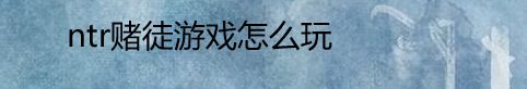 ntr赌徒游戏怎么玩