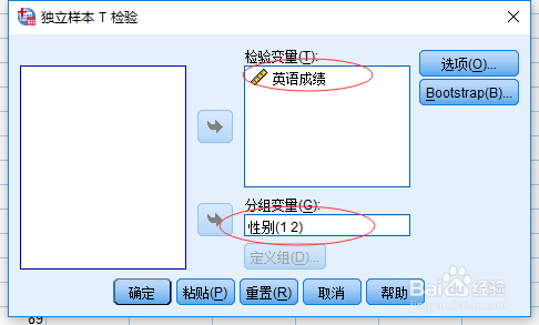 使用SPSS进行两样本T检验