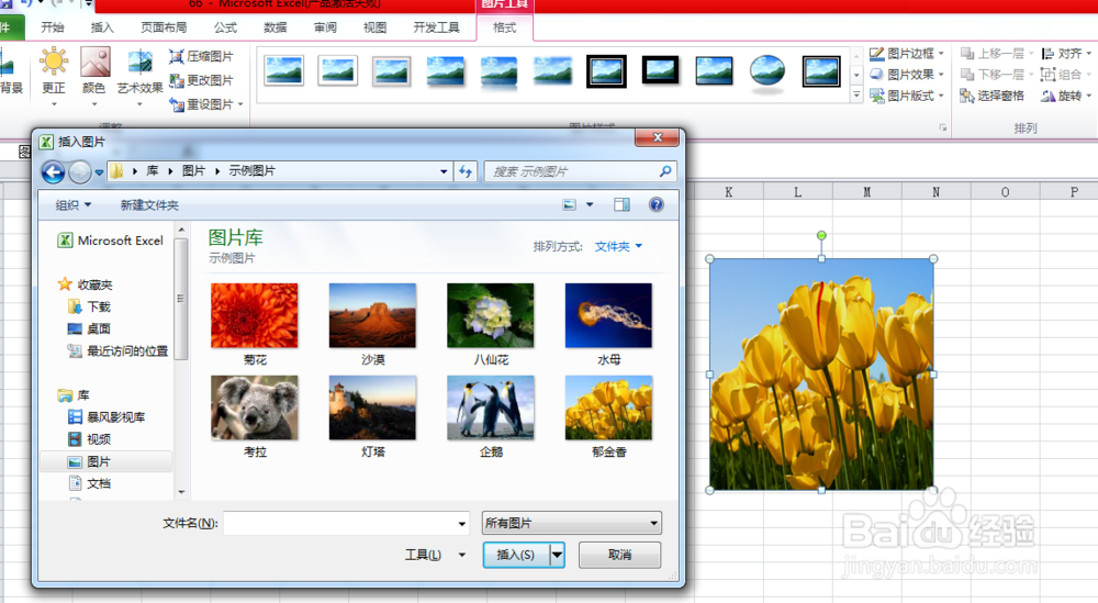 excel中图片调整的众多技巧