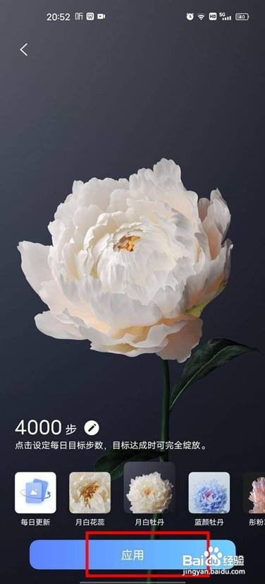 vivox60pro行为壁纸怎么开启