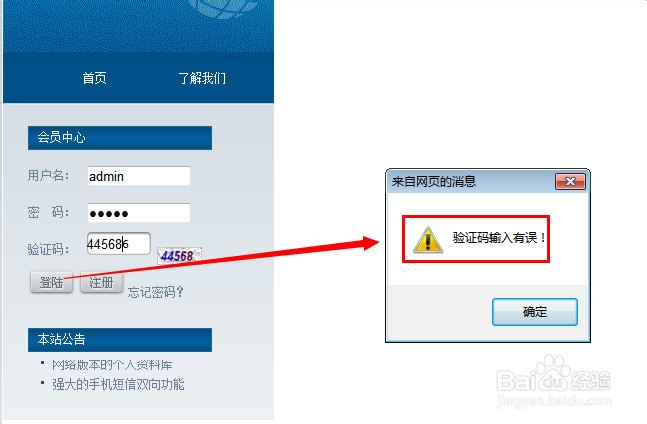 计算机专业毕业设计：[32]登录网站4
