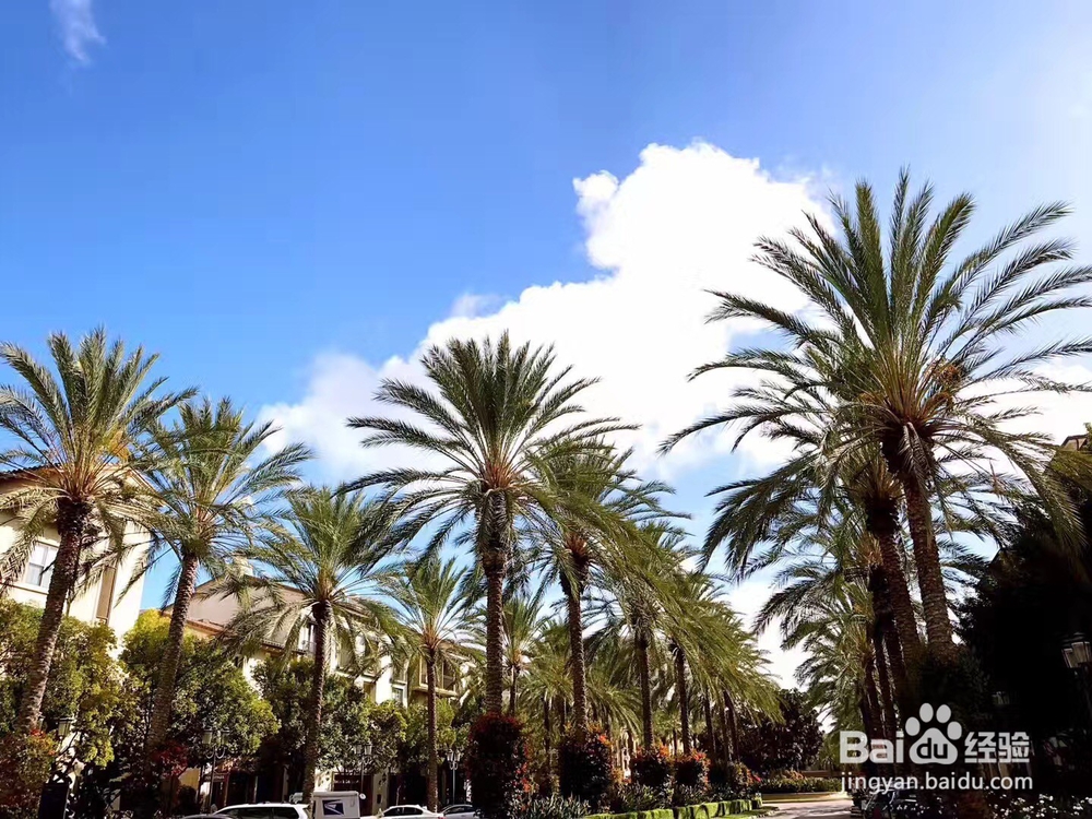 赴美生子机构多少钱？怎么做预算？