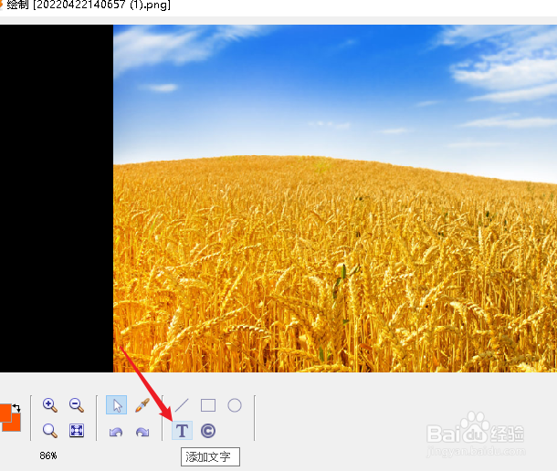XnViewMP怎么在图片上写字