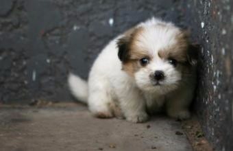 人什么时候最脆弱