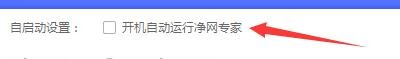 如何设置净网专家启用开机自动运行功能