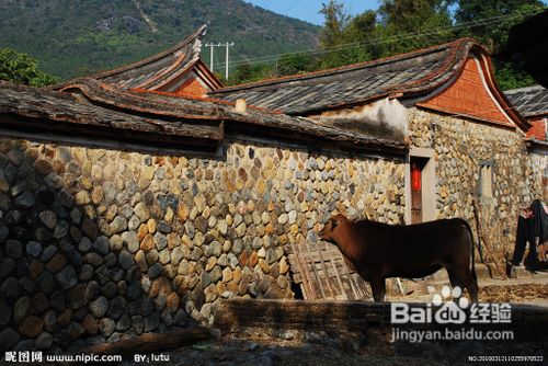 家居住宅需要看哪些地方？