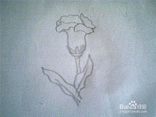 简笔画鸡冠花的画法