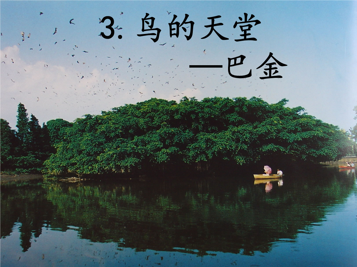 《鸟的天堂》作者第一次去看的时间是什么时候没看见一只鸟是因为什么求解 急！！！