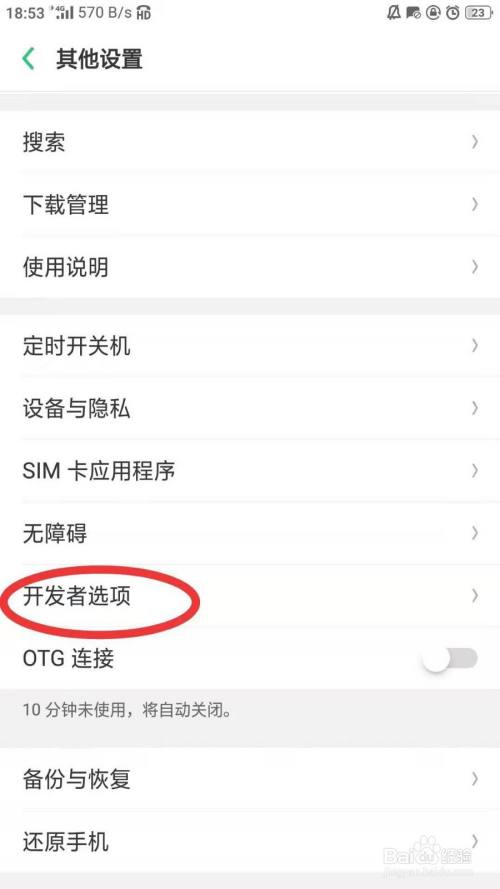 步骤三 打开其他设置之后,下滑找到开发者选项,点击打开成绿色.