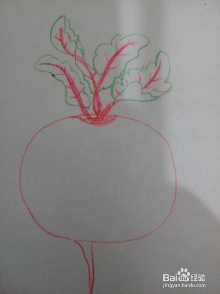 怎样简笔画萝卜