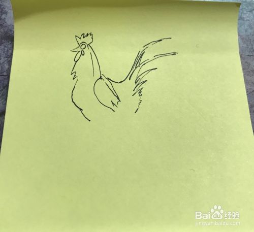 如何绘制两只公鸡速写？