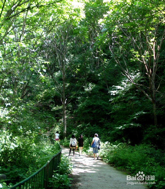 雾灵山风景区游玩攻略