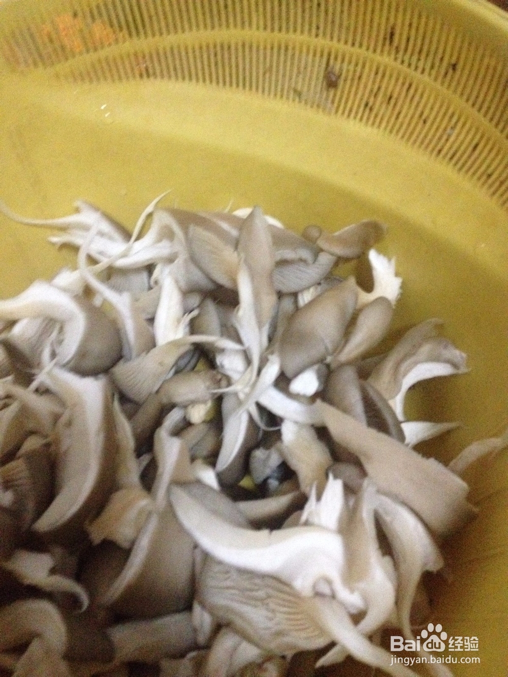 素炒平菇的做法