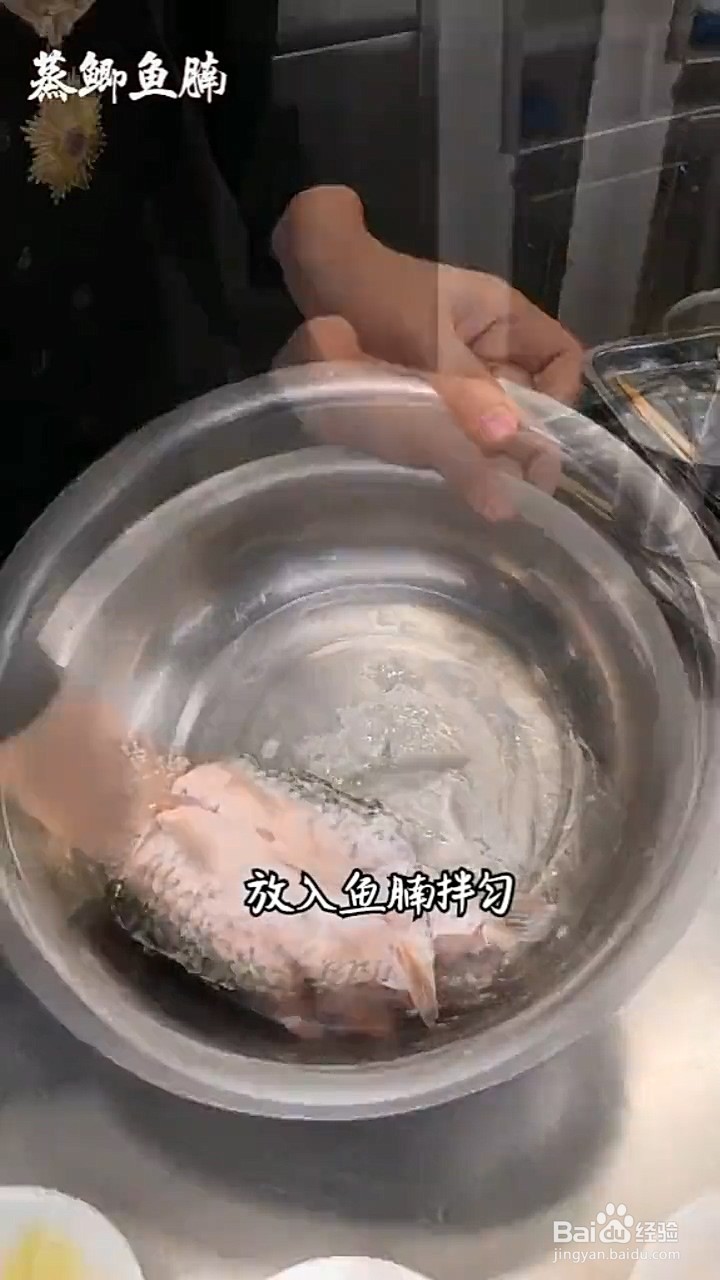 如何制作蒸鲫鱼腩?