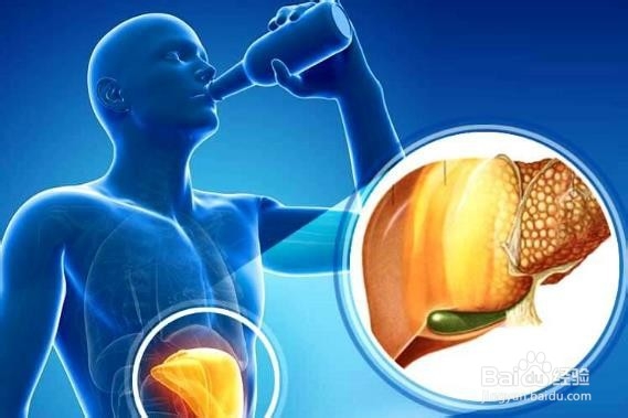 有助于平衡脂肪肝的食物